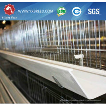 China Jaula de capa de bajo costo con equipos avícolas